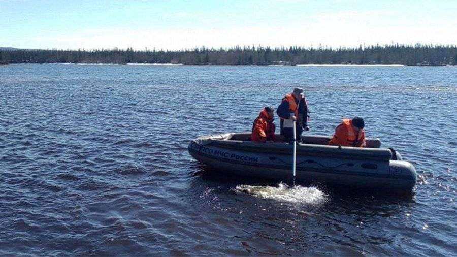 Более 400 человек присоединились к поискам пропавшей девочки под Мурманском
