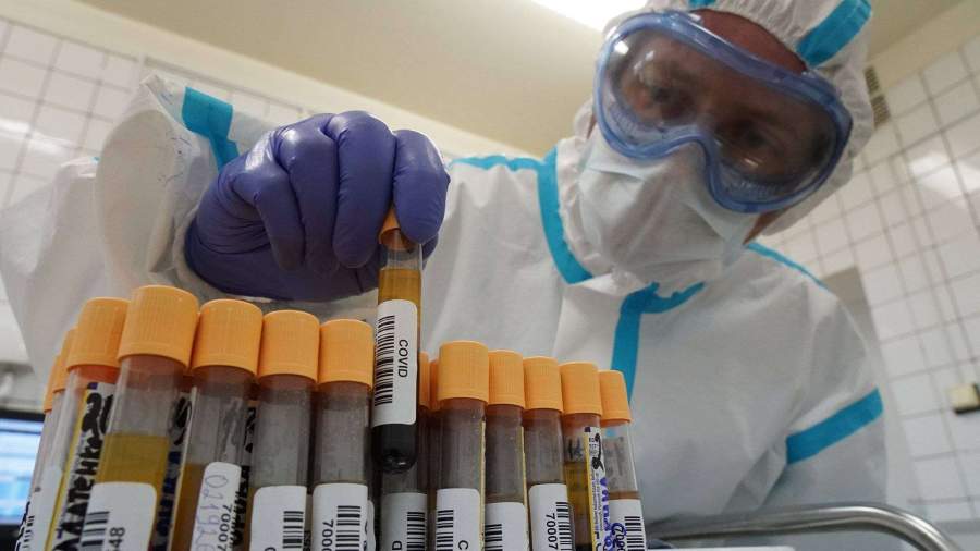 Санкт-Петербургский НИИ разработал новую тест-систему для выявления коронавируса
