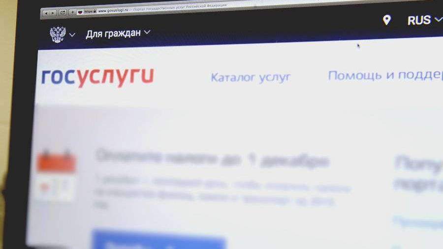 На госуслугах запустили сервис для оформления выплаты на детей