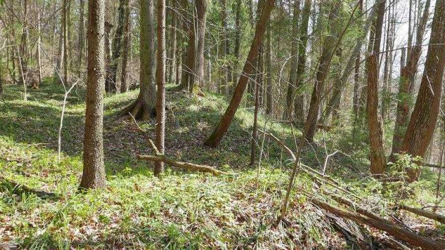 Археологи в Москве нашли курганы вятичей середины XII — начала XIII
