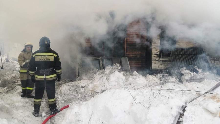 Фото мальчика спартака спасшего деревню от пожара