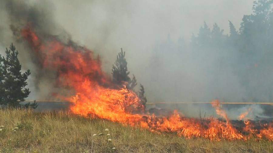 Названа основная версия возникновения лесного пожара в Тольятти