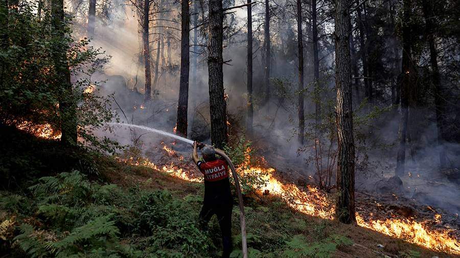 Власти Турции взяли под контроль 137 лесных пожаров | Новости | Известия |  02.08.2021