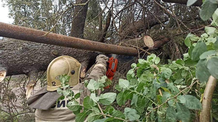 В Брянской области из-за урагана остался без света 21 населенный пункт