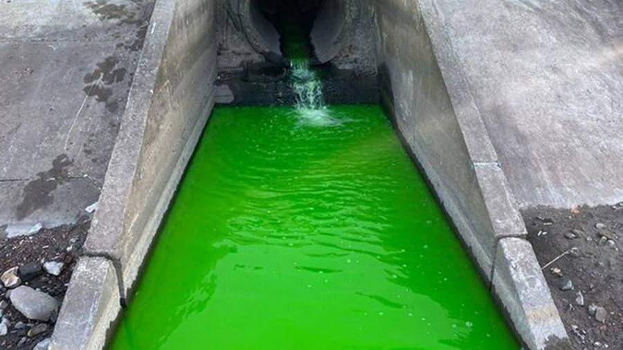 Несколько рек позеленели в Пермском крае