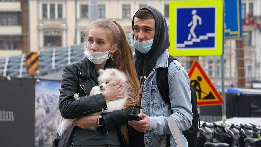 собака
