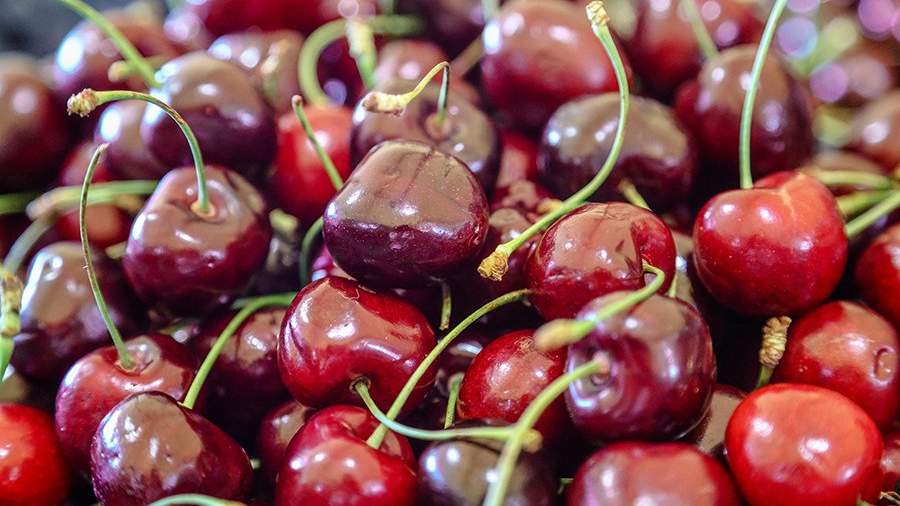 Gastroenterologist called the category of people who are dangerous to