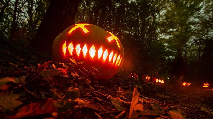 20 простых, но ярких идей декора на Хэллоуин — INMYROOM