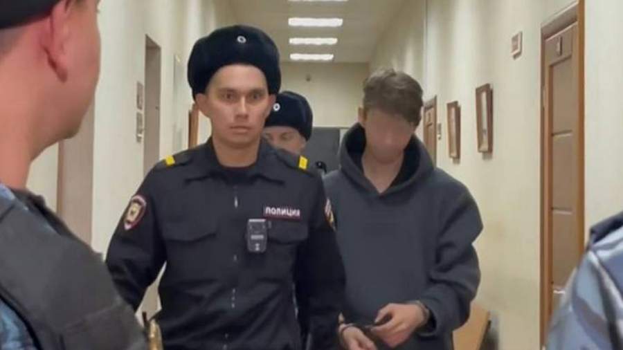 Уголовное дело возбуждено после видео с задержанием школьницы в Петербурге