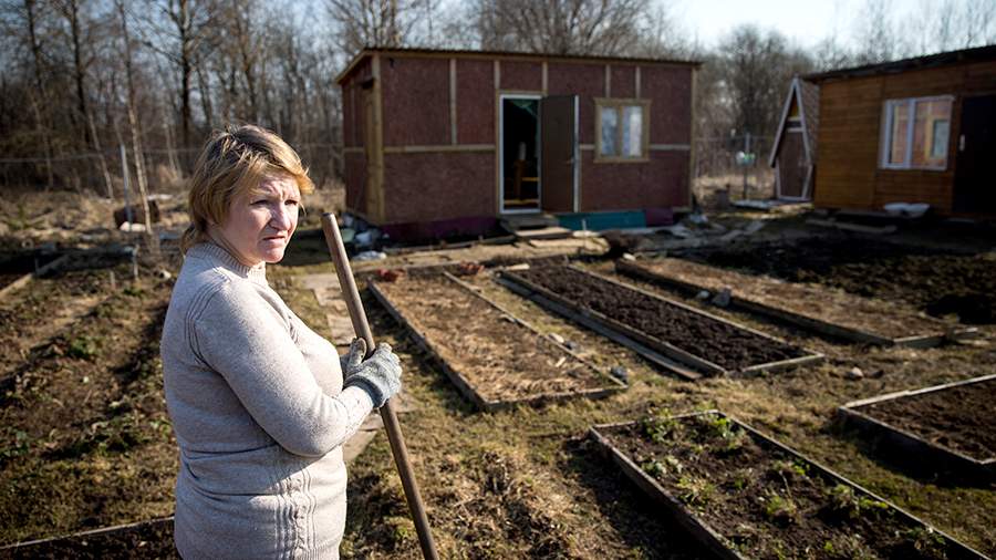 Дачный сезон 2024: какие нововведения вступили в силу и что нужно помнить о штрафах