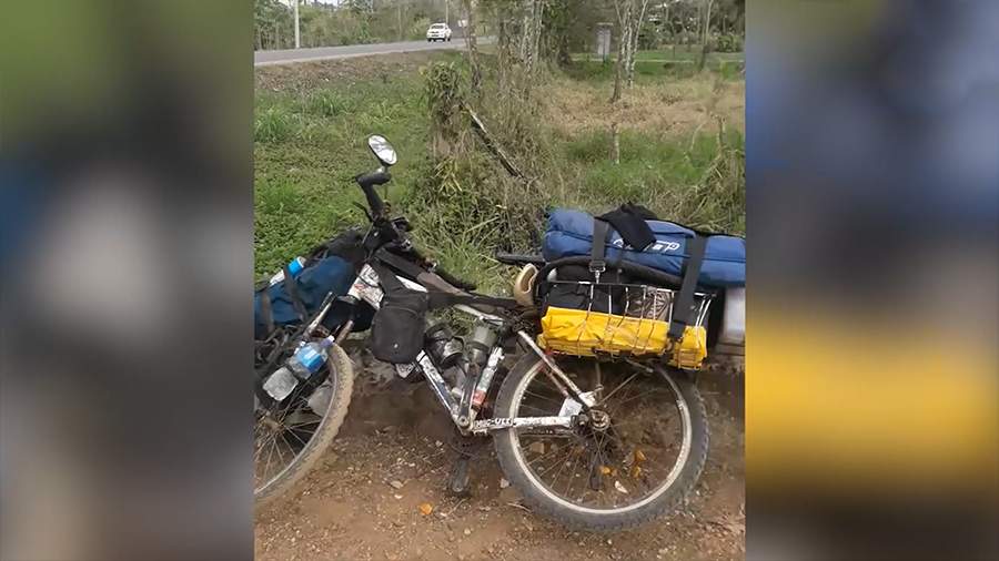 Порно видео пойман в джунглях