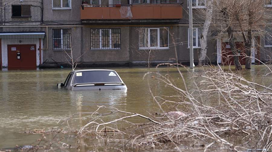 Виртуальный секс с женщинами в Кургане