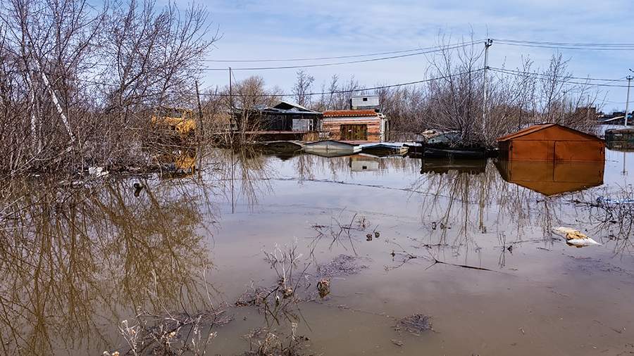 Уровень воды в реке Ишим в тюменском селе Абатское достиг 1236 см
