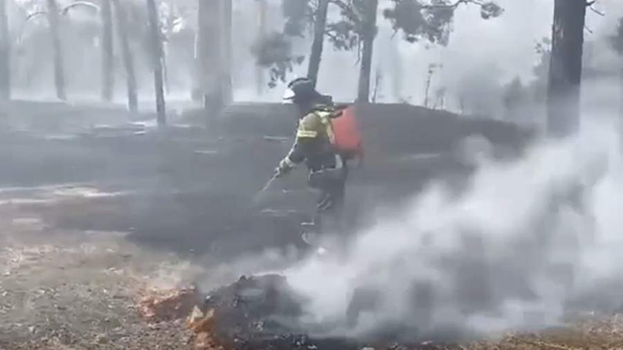 Лесной пожар в Ростовской области охватил уже 122 га
