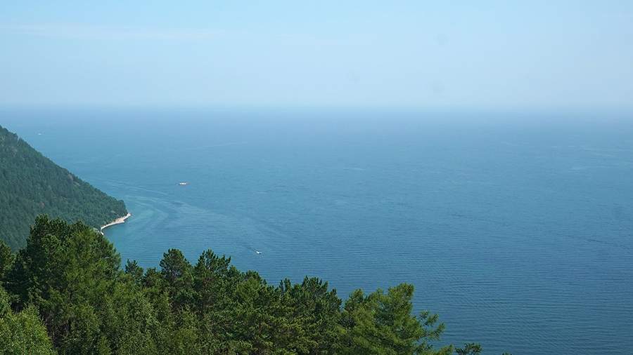 rosneft management board