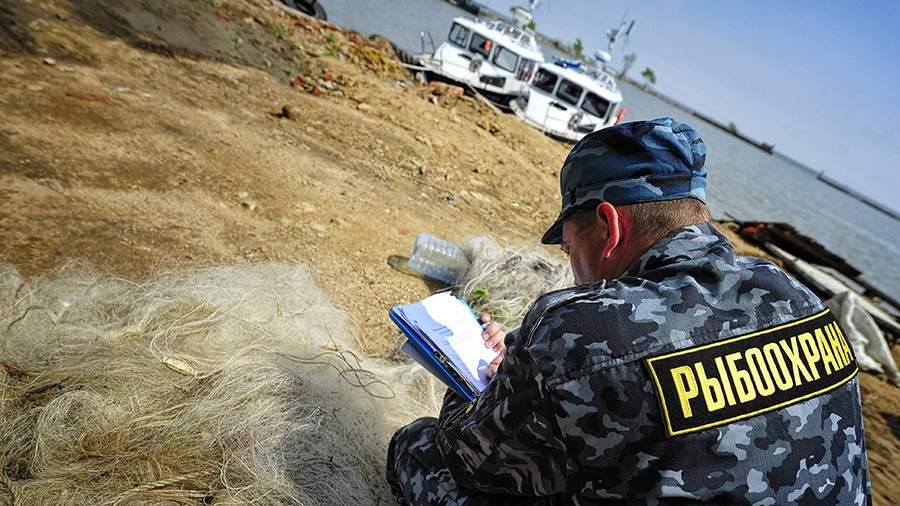 Сотрудник рыбоохраны во время заполнения протокола по изъятию браконьерских рыболовных сетей
