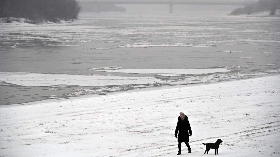 Девушка гуляет с собакой на набережной реки Иртыш в Омске