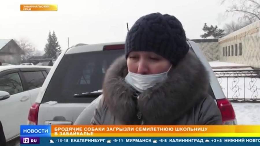 Жительница села Домна в Забайкалье рассказала о погибшей от нападения собаки девочке