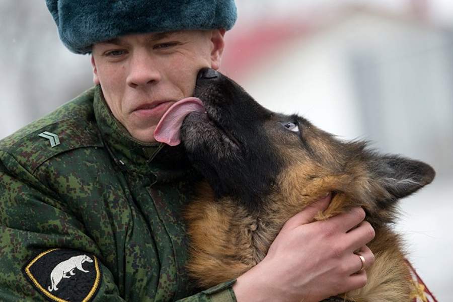 Собаки на богослужении