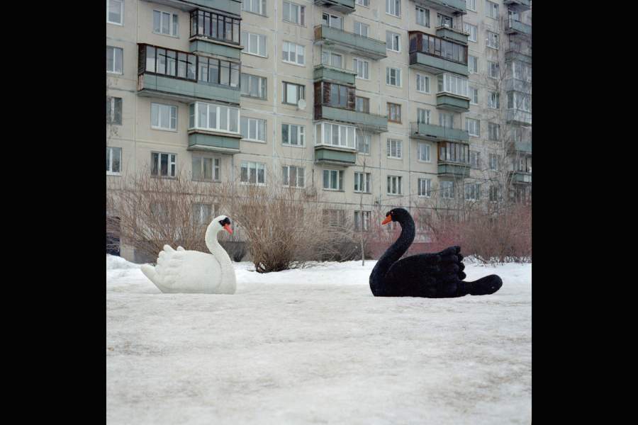 Международный конкурс фотожурналистики имени Андрея Стенина
