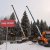 Зимняя красавица: в Подмосковье срубили елку для установки в Кремле
