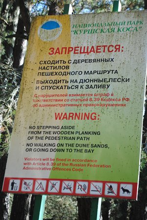 Куршская коса о двух концах