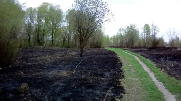 В парке «Москворецкий» перестарались с палом травы