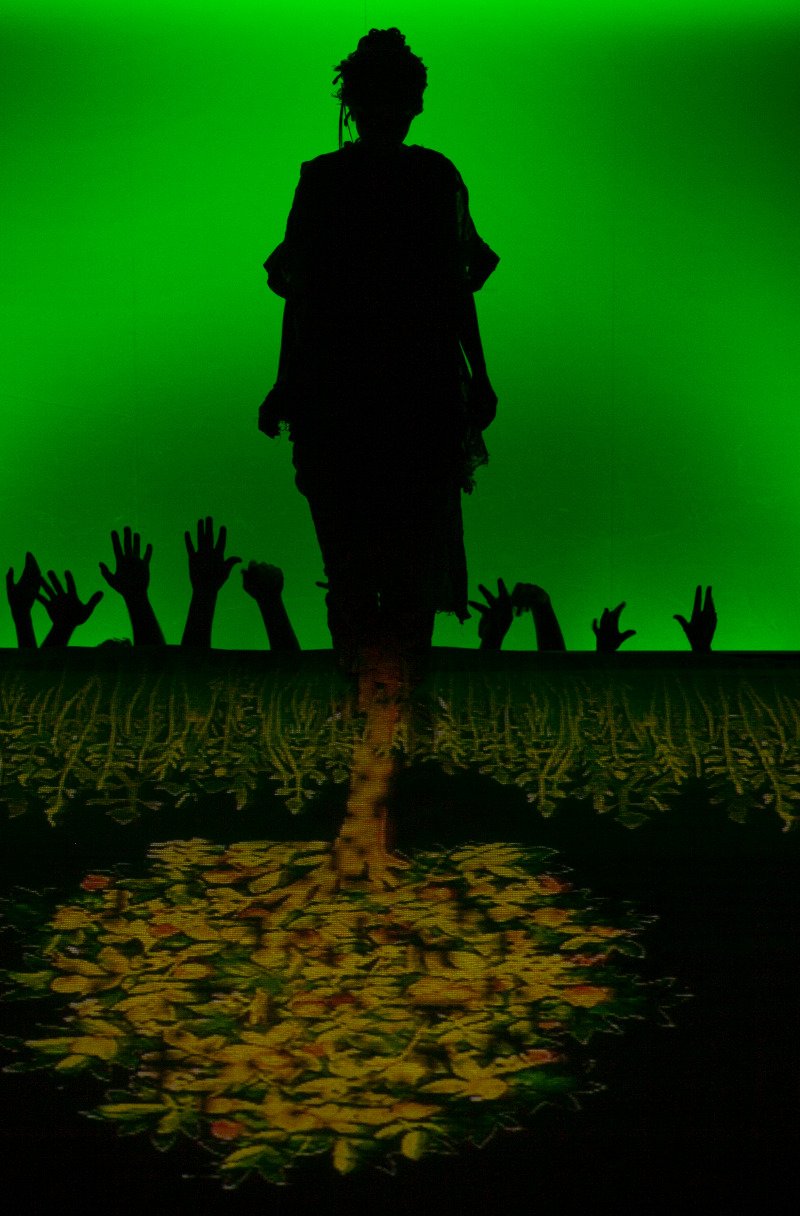 Иван Поповски отправил Баха в пустыню