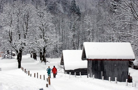Мюнхен любит гостей