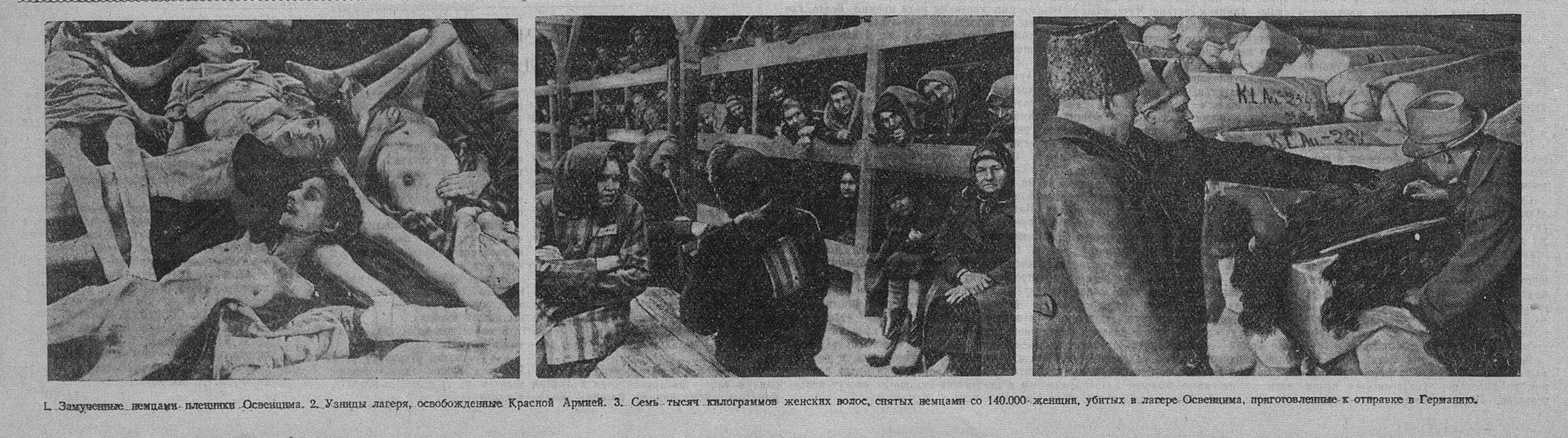 8 мая 1945 года в «Известиях»: Германия капитулировала, народы ликуют