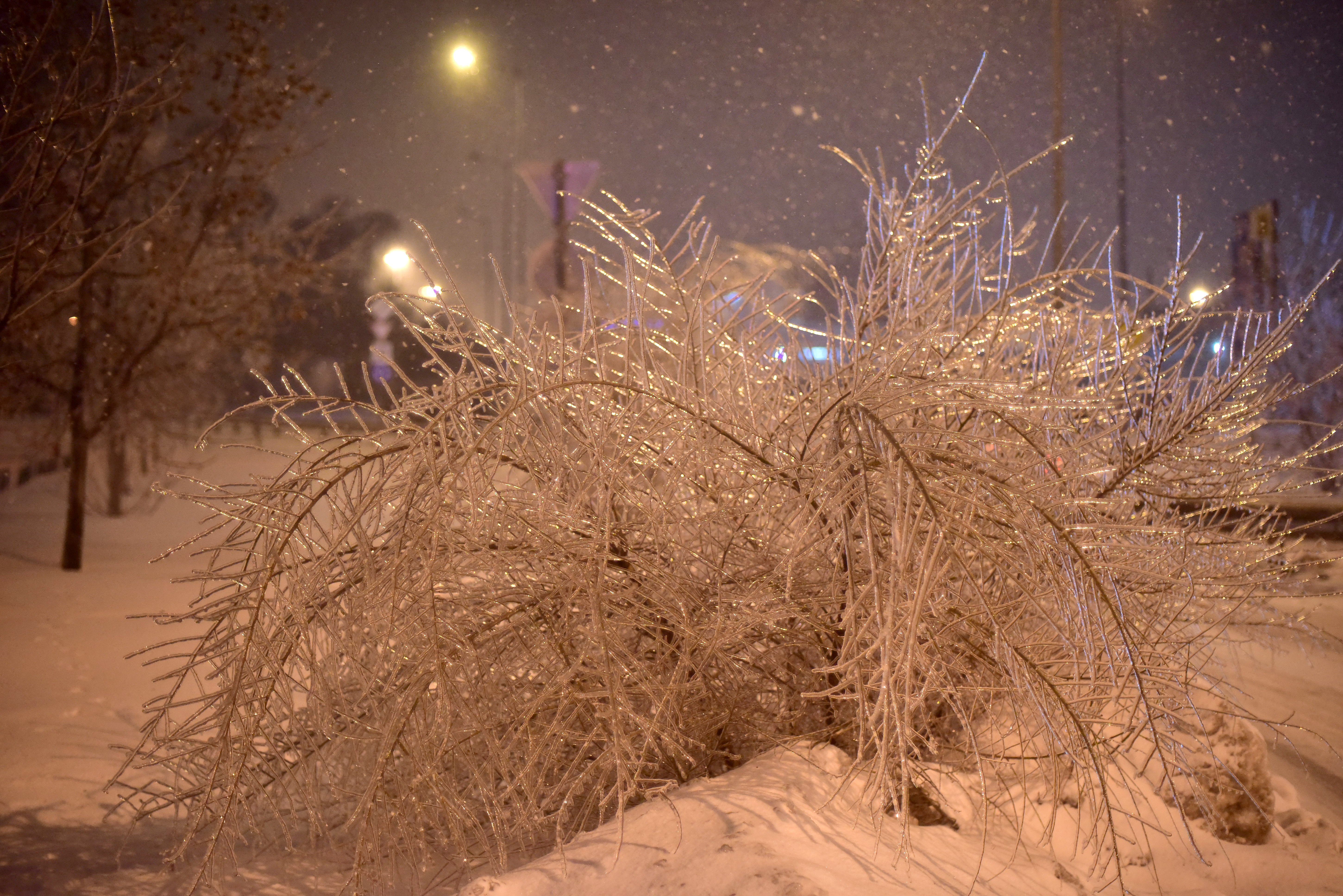 Зима в Москве начнется с сильных морозов