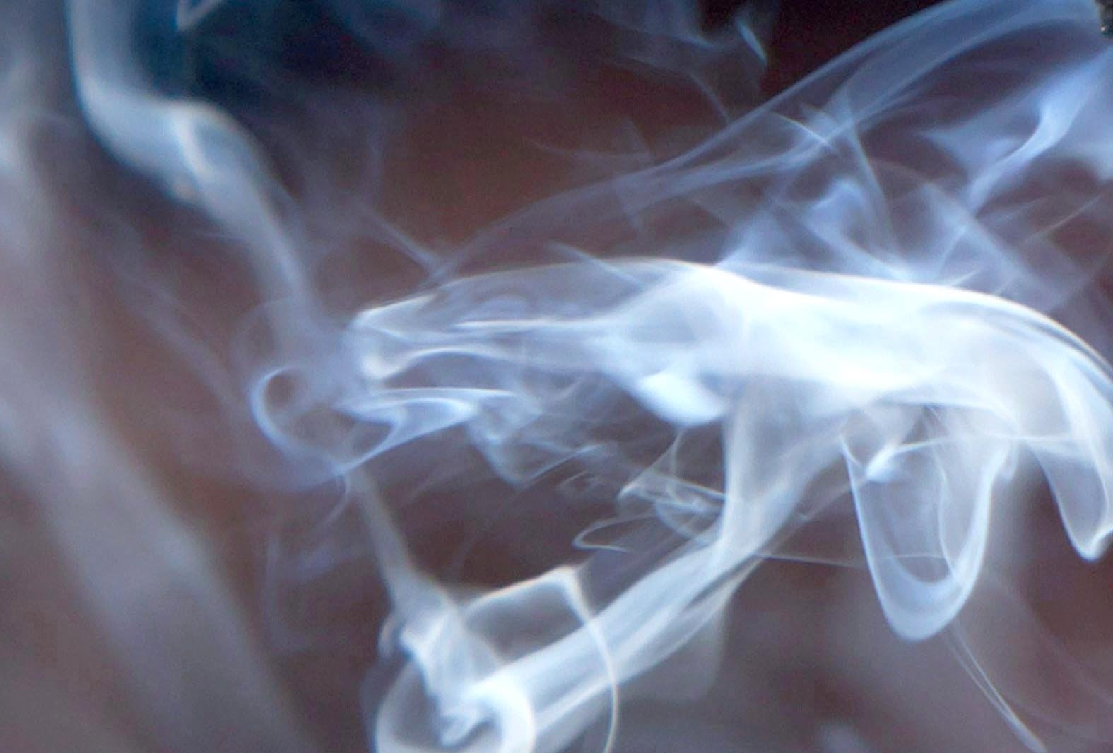 Дым в конопле литература по выращиванию марихуаны