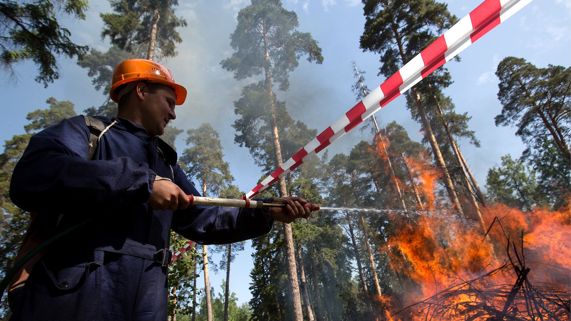 В России появилась новая профессия — лесной пожарный | Статьи | Известия