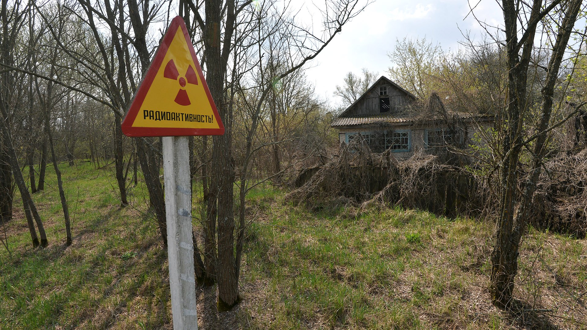 По неведомым дорожкам: Белоруссия пустит туристов в Чернобыльскую зону |  Статьи | Известия