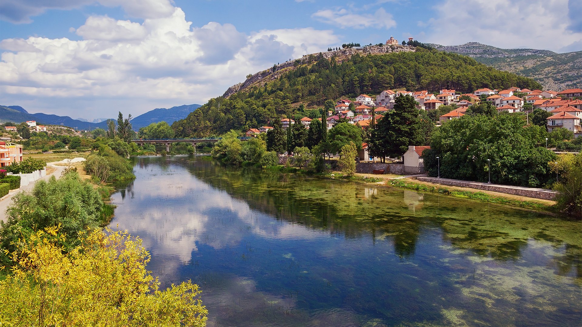 Сливы облаков телеграмм фото 87