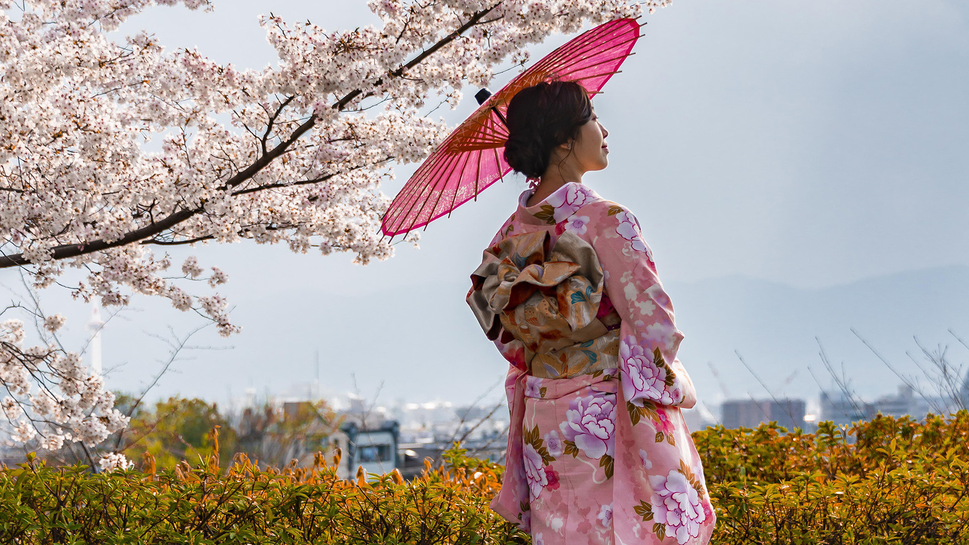 Японская культура кимоно