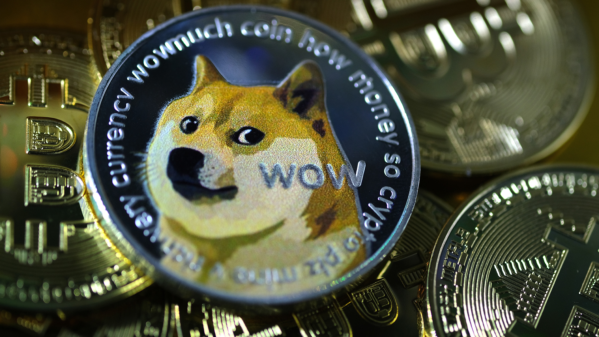 Крипта doge купить bitcoin free hack