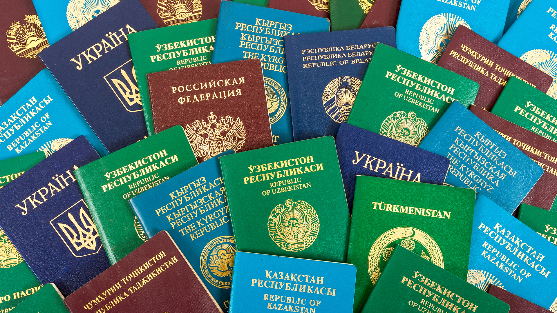 Паспортные Фото Людей