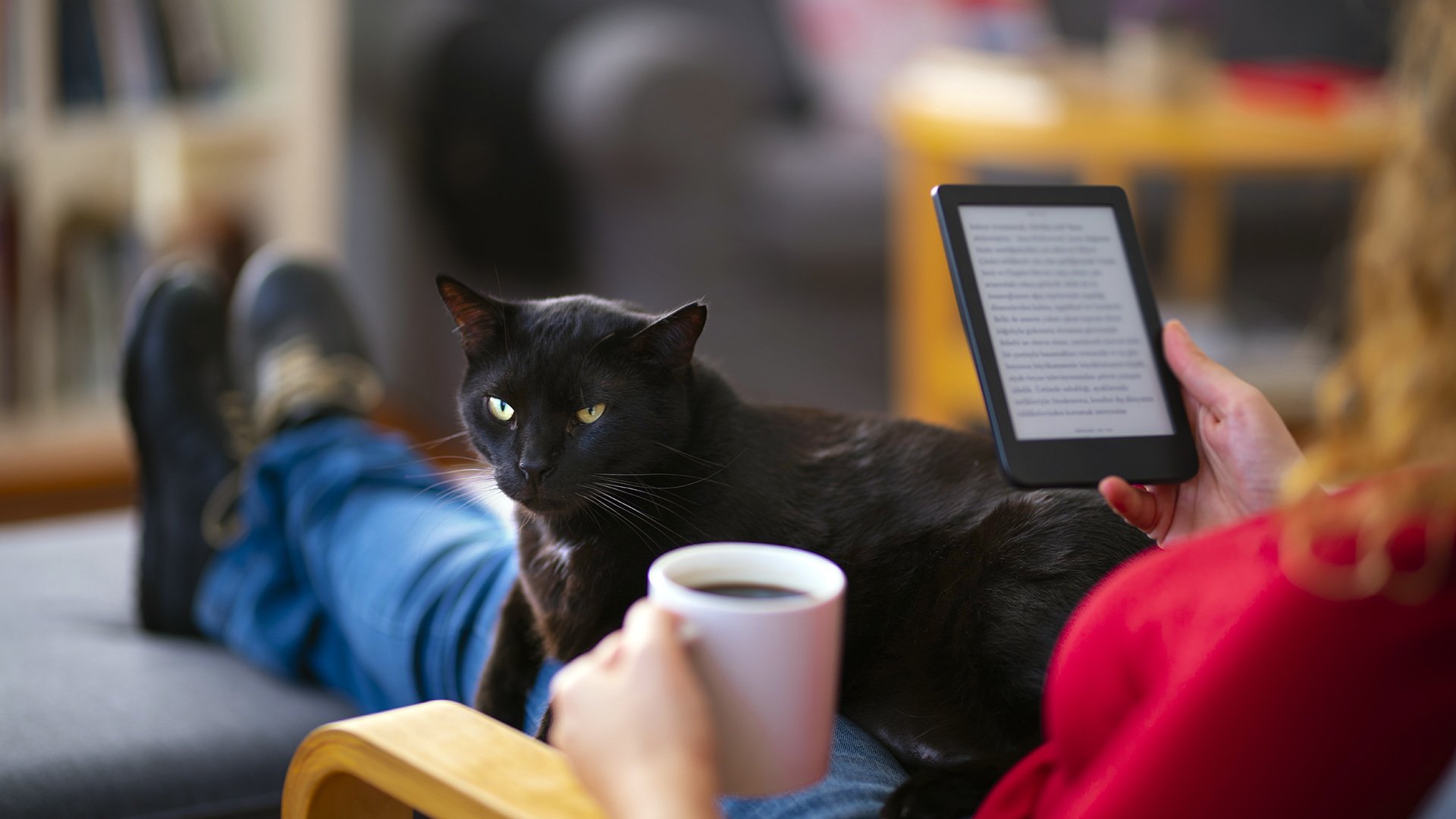 Есть столько книг: в прокуратуру пожаловались на пропаганду ЛГБТ | Статьи |  Известия