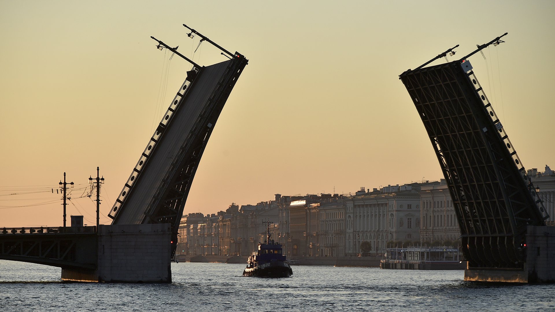 Книга недели: о чем могут рассказать мосты Петербурга