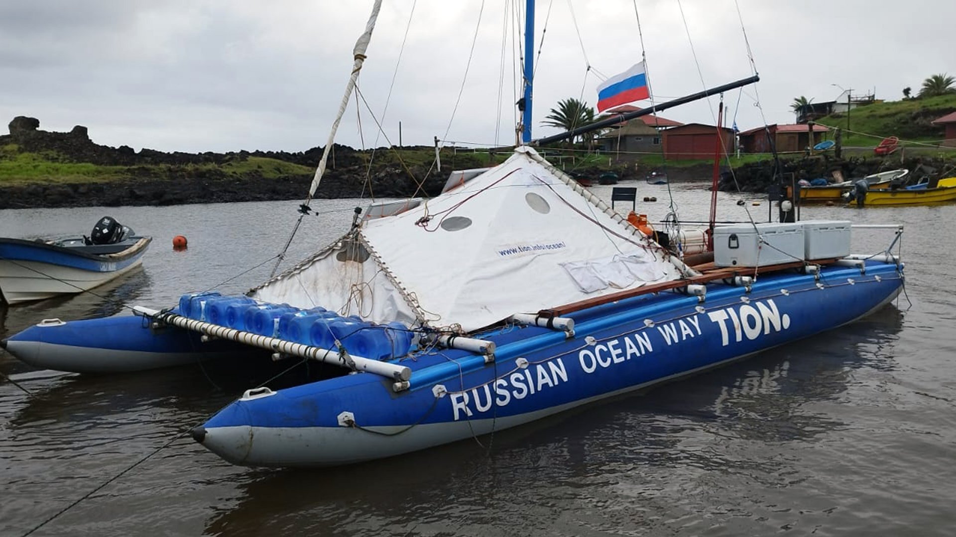 Особенности охоты: что стало причиной нападения акул на российскую  экспедицию | Статьи | Известия