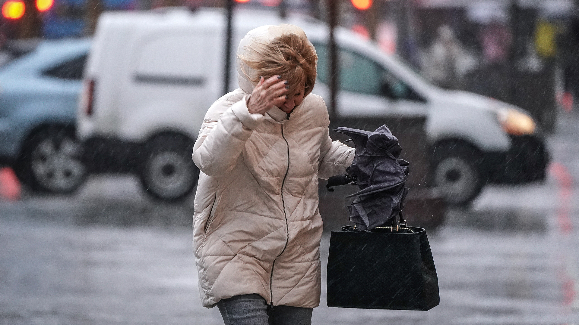 Буря и натиск: в Петербург пришел снегопад, в Москве — штормовой ветер