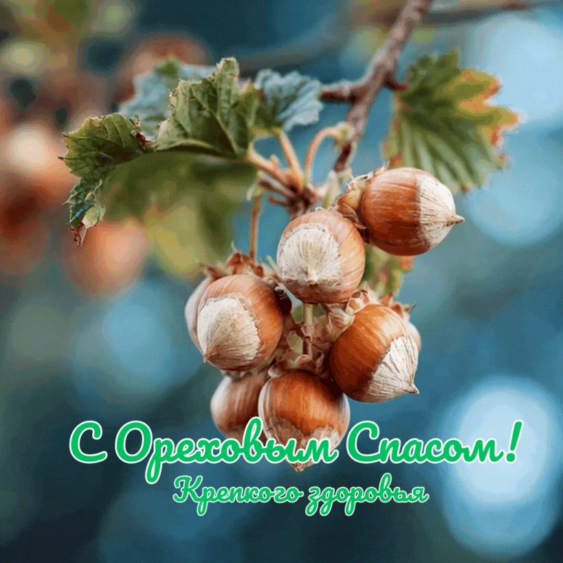 Эко-открытка с лесными орехами — пожелание здоровья к Ореховому спасу