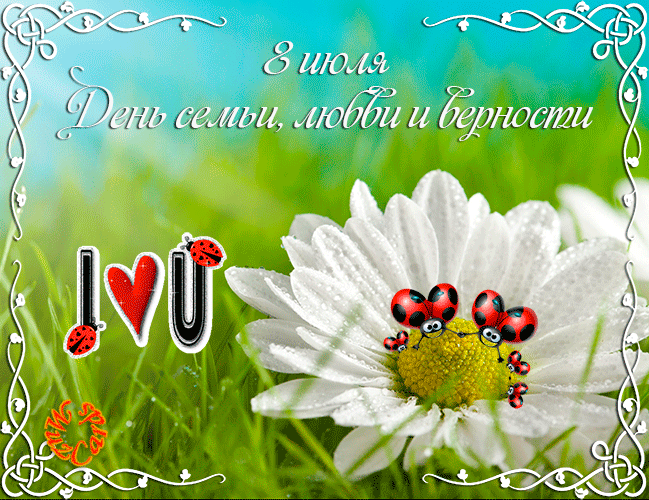 Гиф с Днем семьи, любви и верности