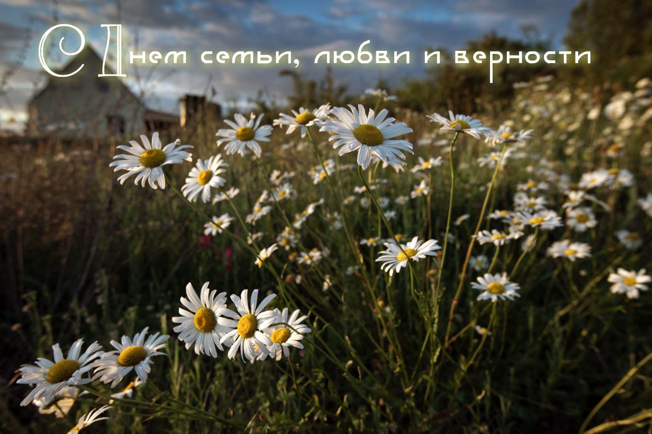 Открытка с Днем семьи, любви и верности