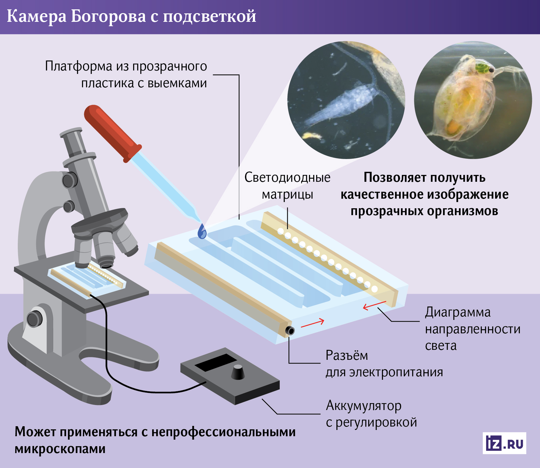 инфографика