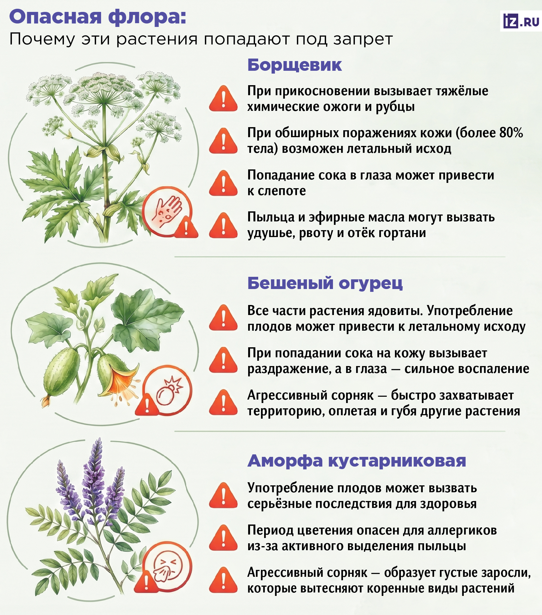 растения