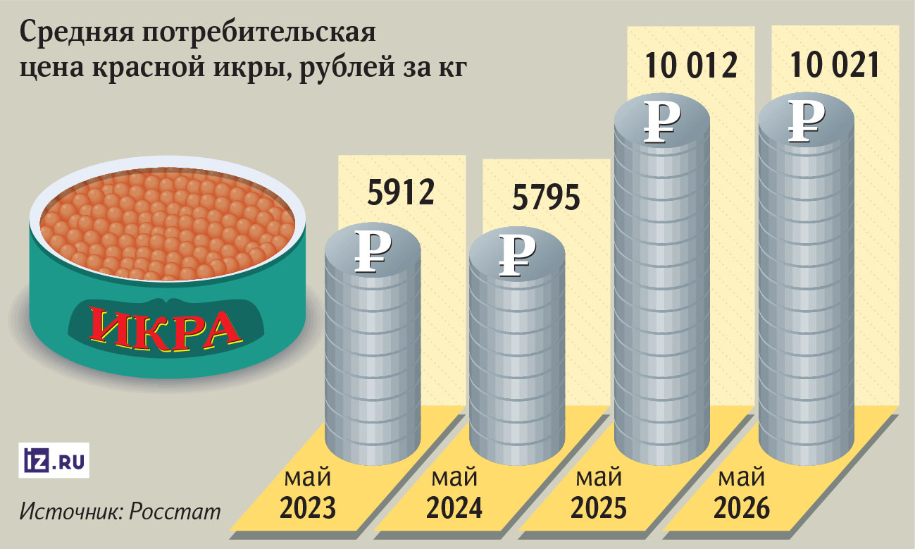 Инфографика