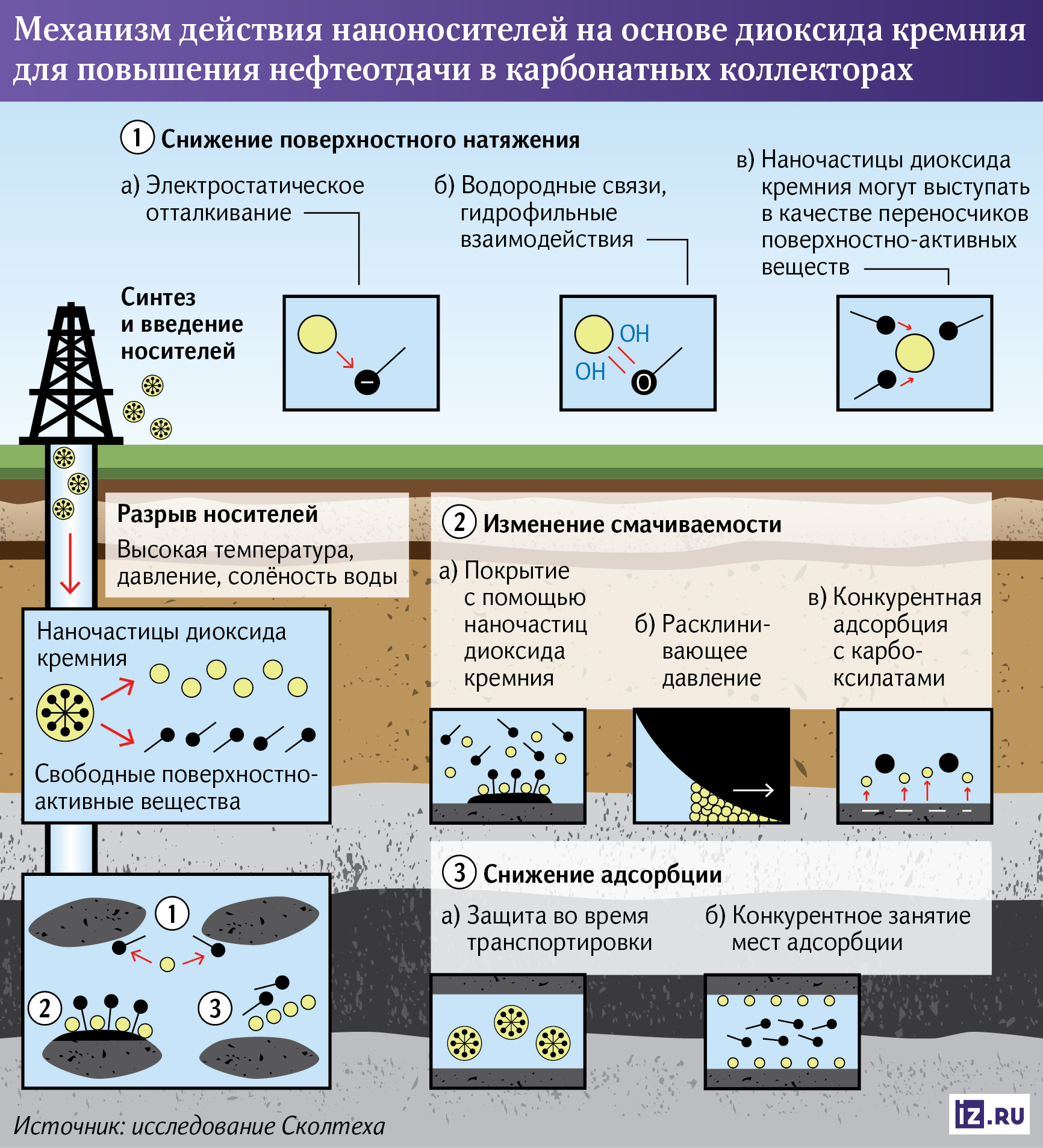 Инфографика