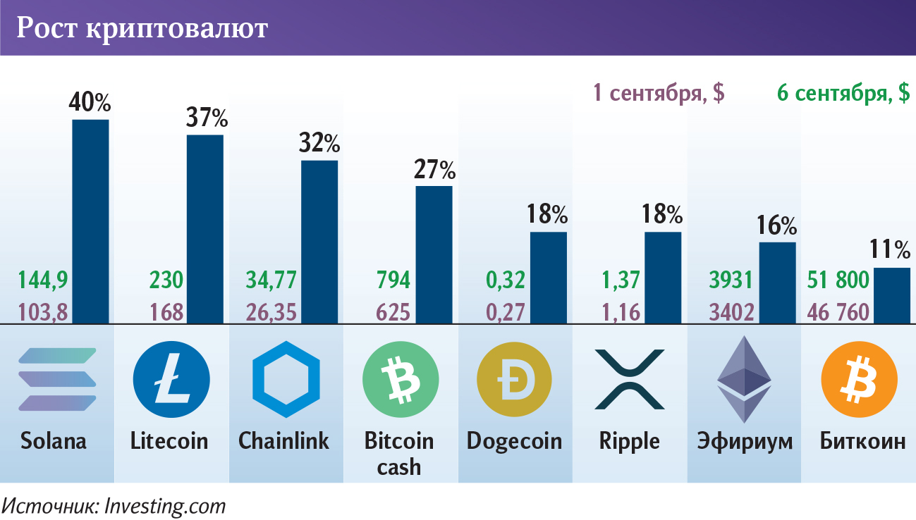 инфографика